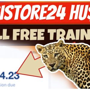 $100-$1000/Week with DIGISTORE24 Affiliate Marketing FREE Traffic (FULL FREE COURSE FOR BEGINNERS)